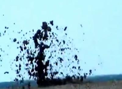 Азовское море змея