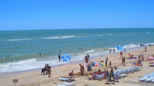 Температура азовского моря. Заполняемость пляжей. Июнь.