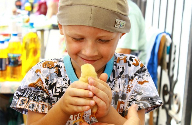 Отдых на Азовском море. Степановка Первая. Отзыв Клиента.