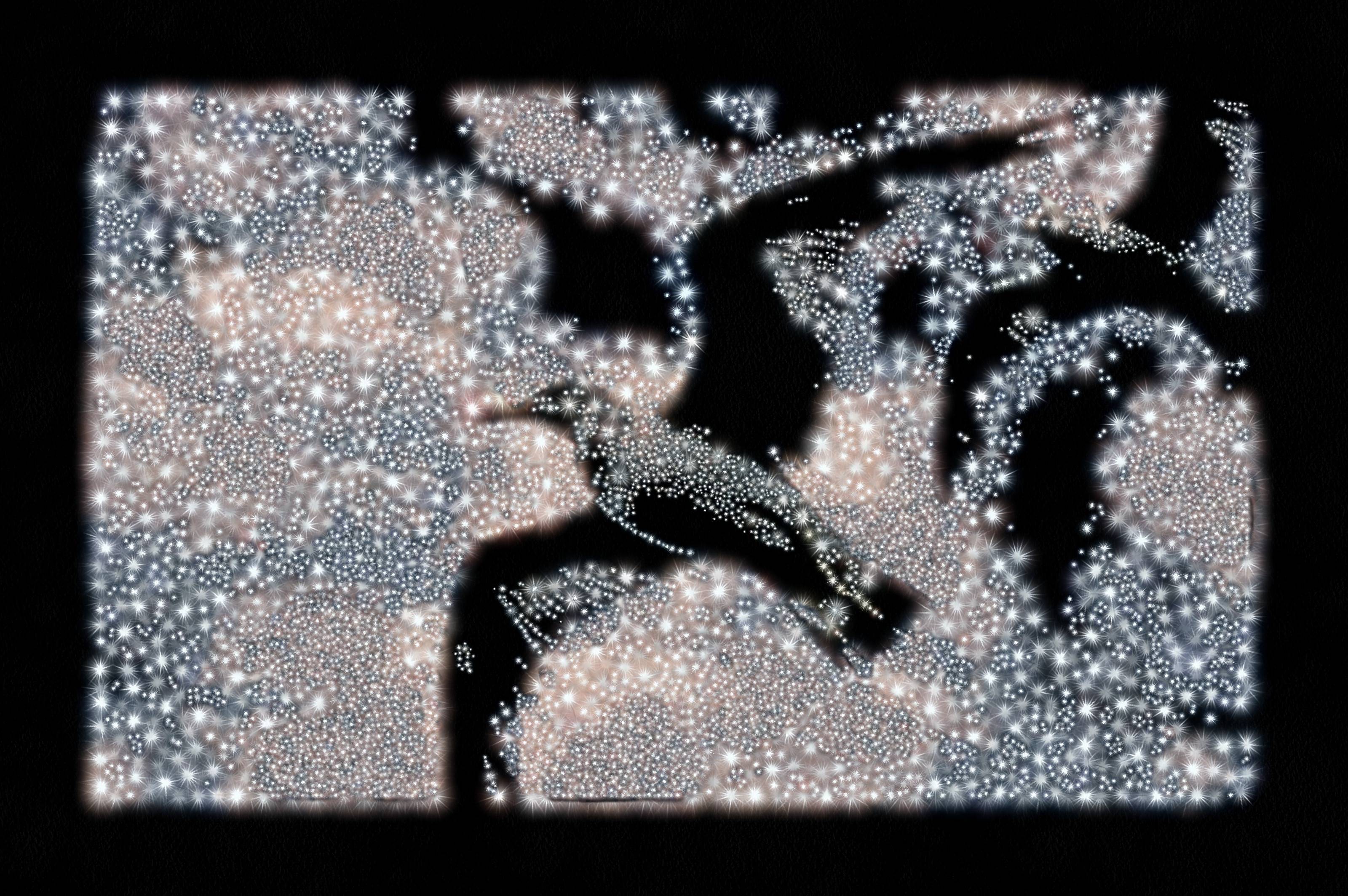 SeaGull, seagull picture, чайка, морская чайка