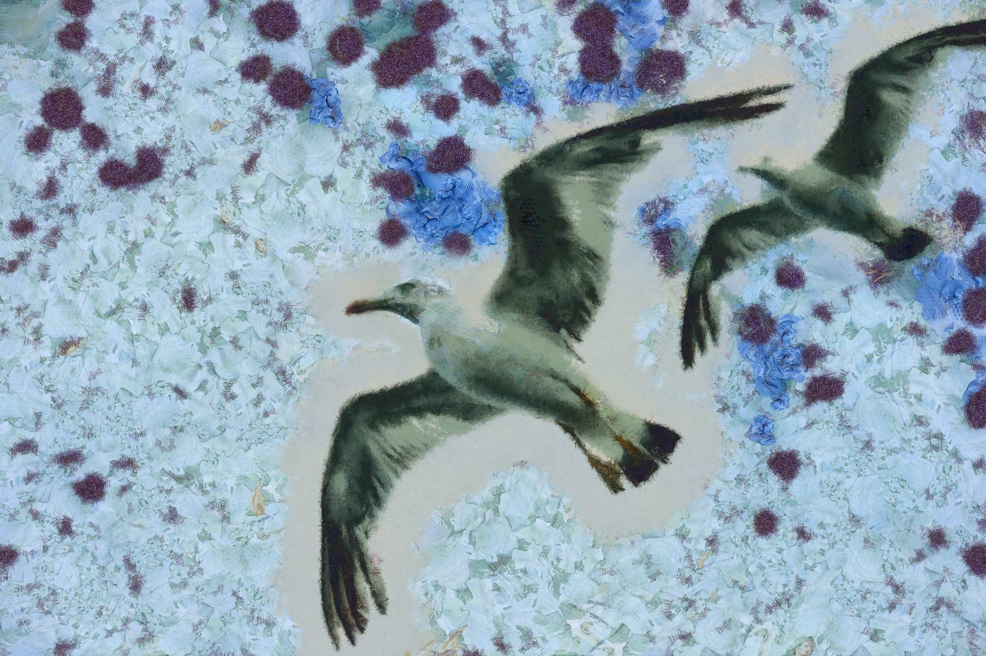 SeaGull, seagull picture, чайка, морская чайка