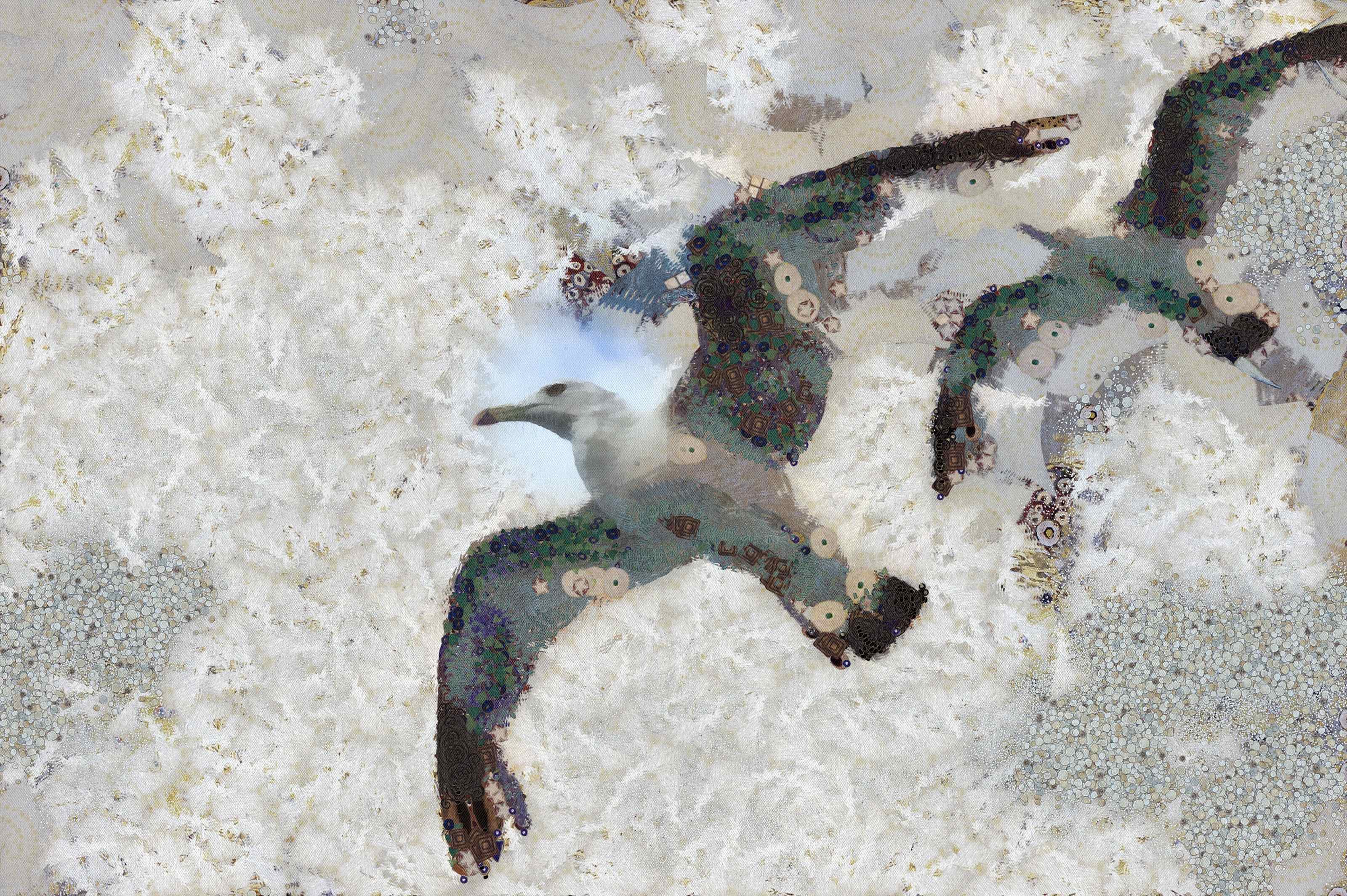 SeaGull, seagull picture, чайка, морская чайка
