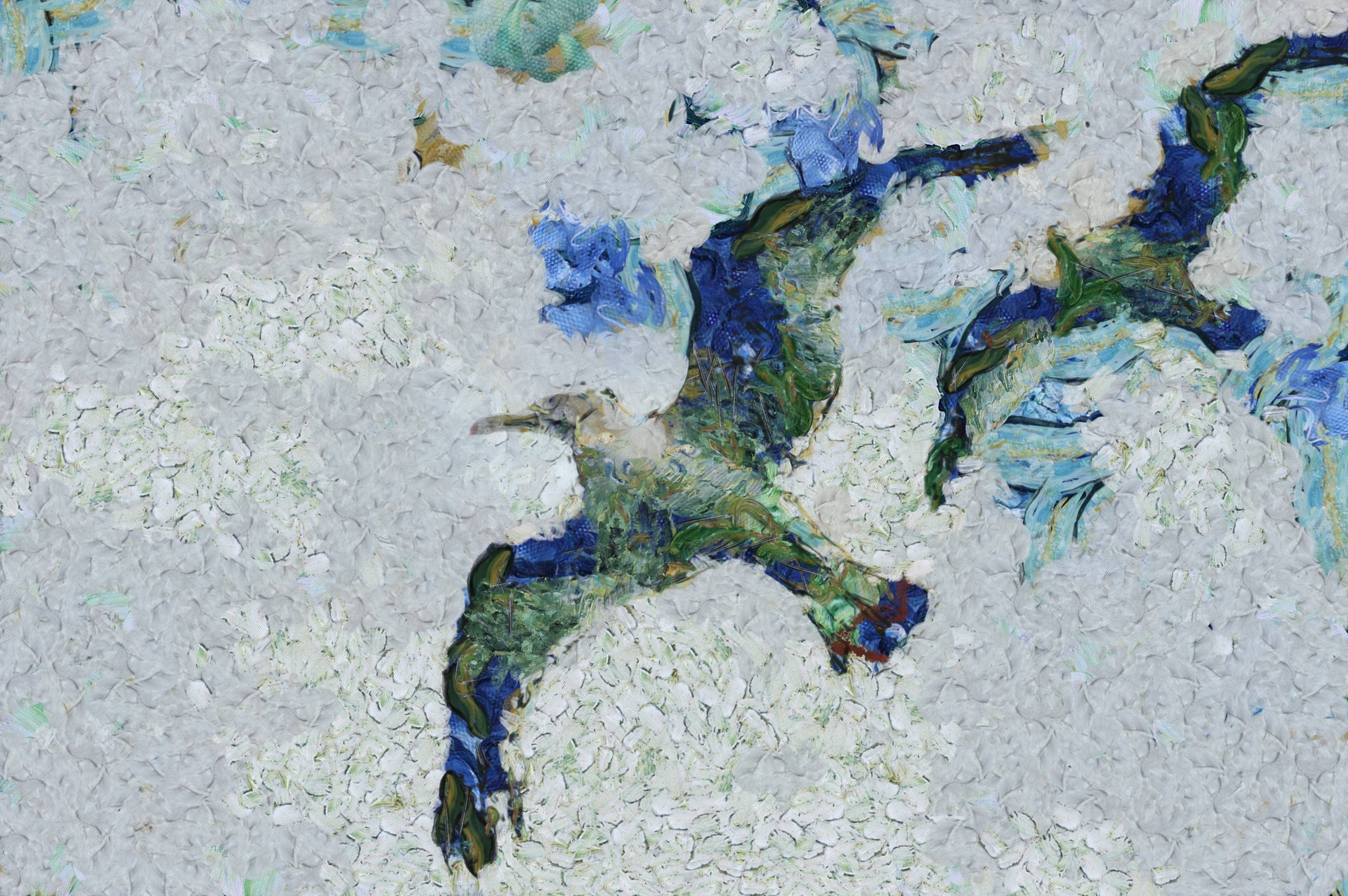 SeaGull, seagull picture, чайка, морская чайка