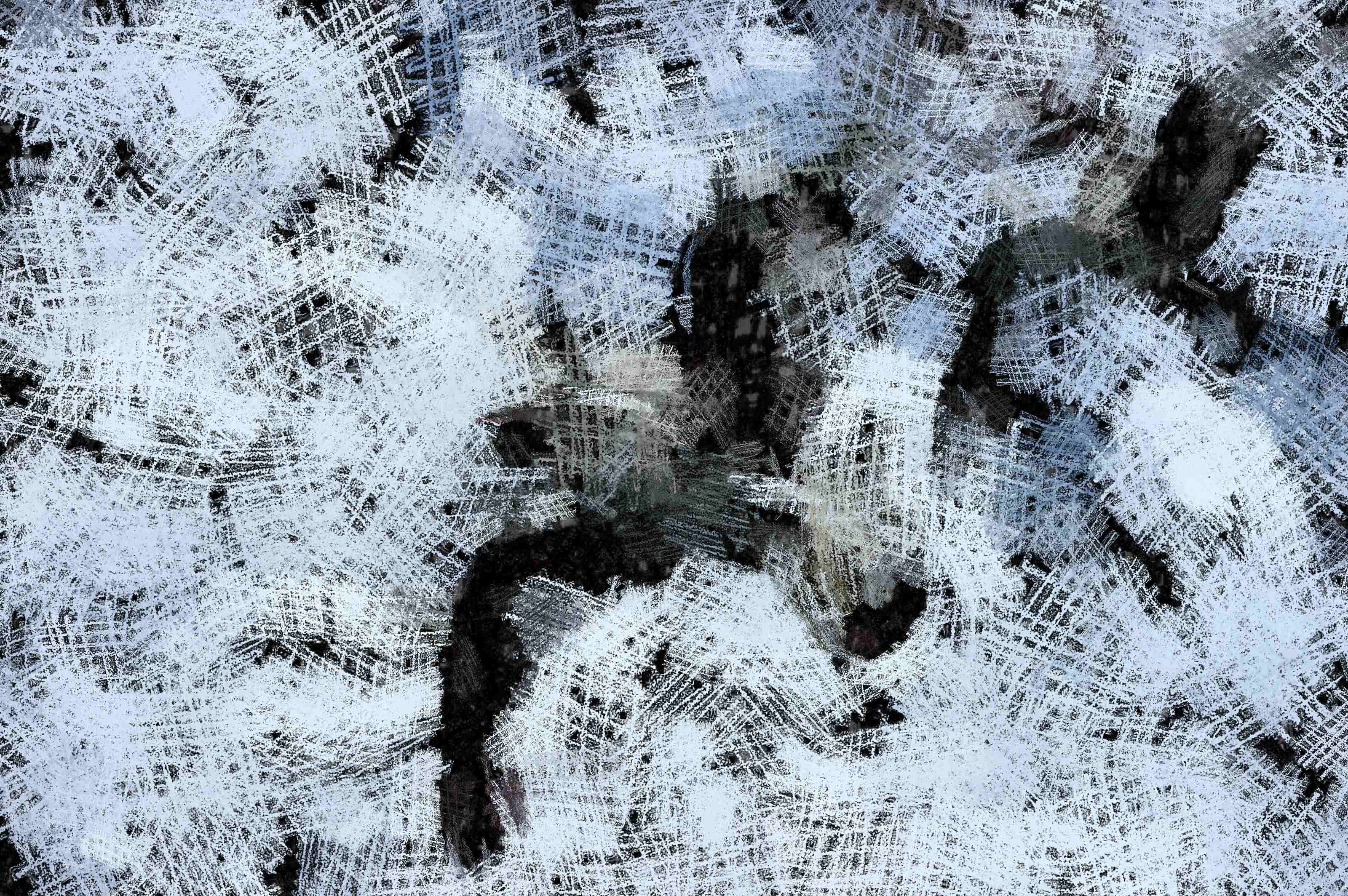 SeaGull, seagull picture, чайка, морская чайка
