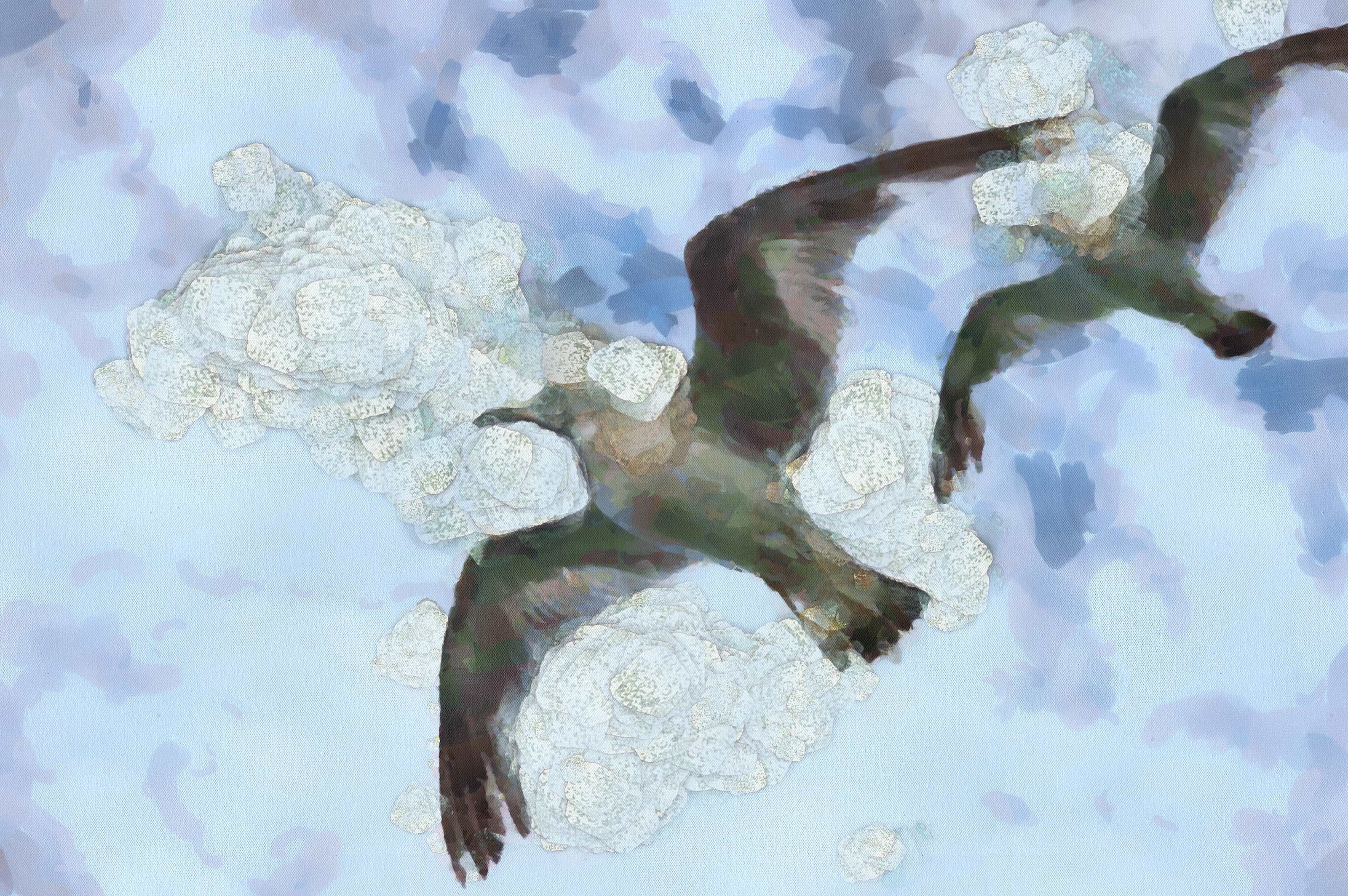 SeaGull, seagull picture, чайка, морская чайка