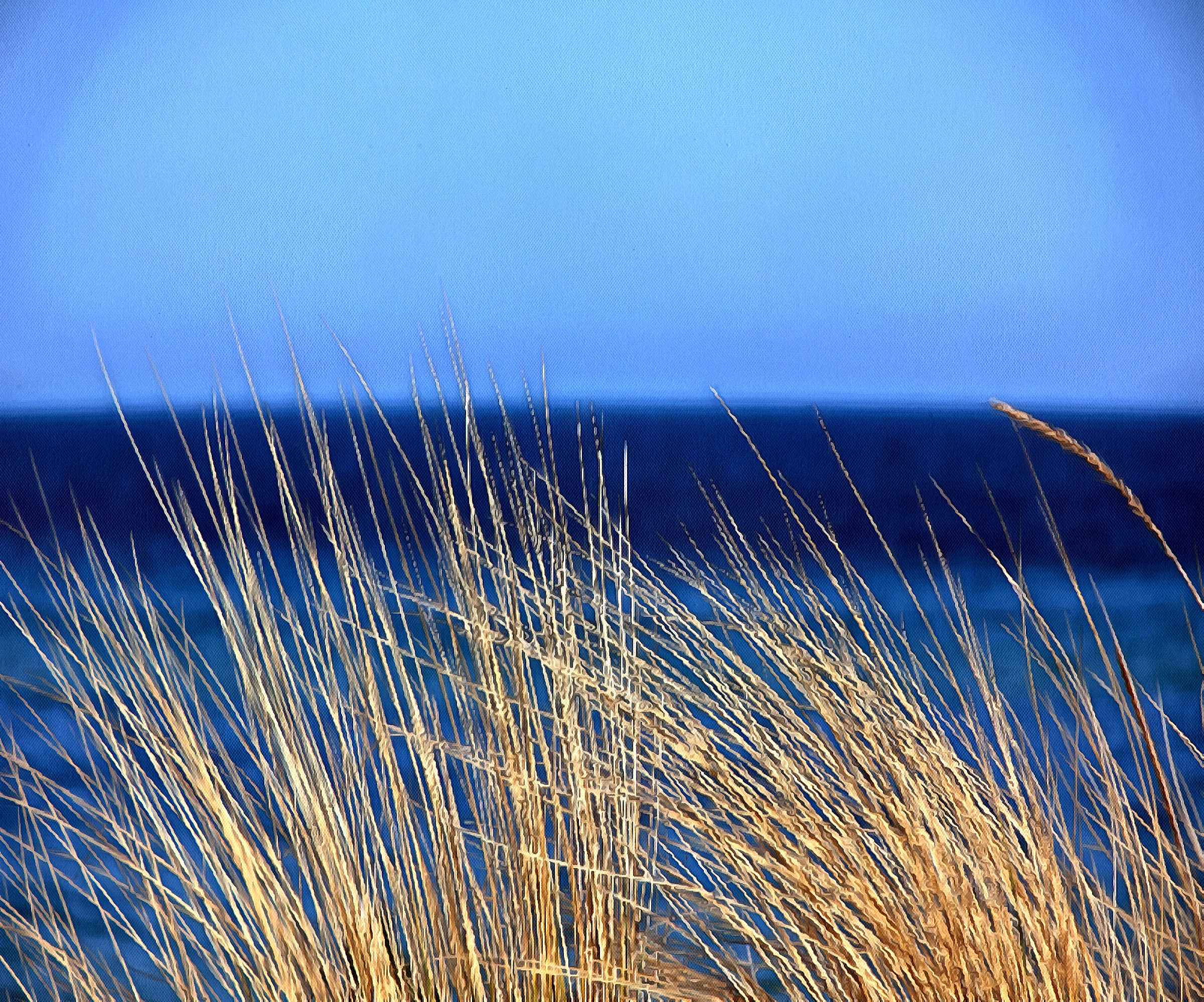 Отдых на Азовском море. Степановка Первая.