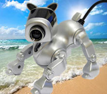 Веб-камера Кирилловка. Азовское море.