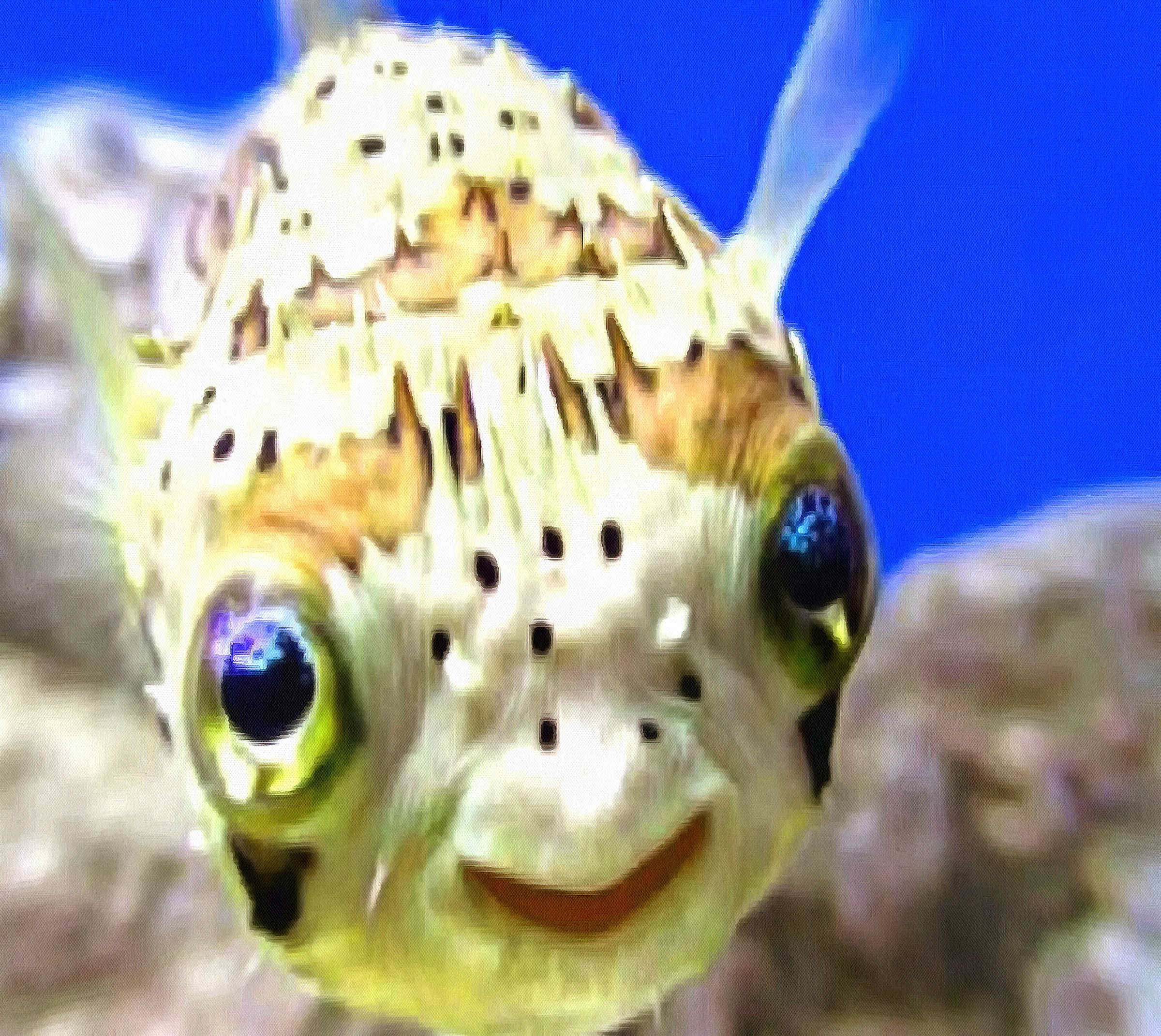 Азовское море. Добавить фотографии про отдых на Азовском море.