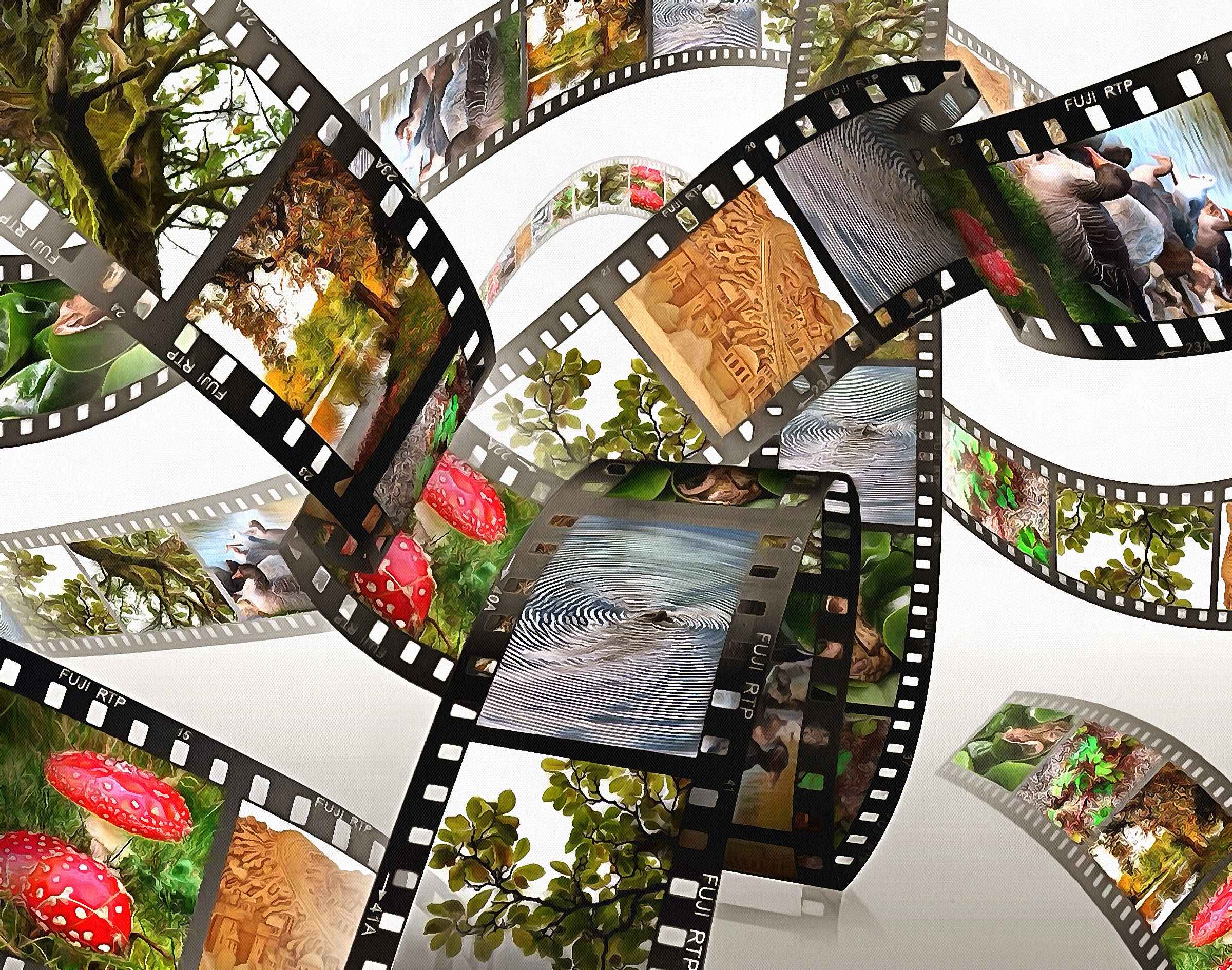 степановка первая, степановка 1, степановка украина степановка первая, степановка 1, степановка украина