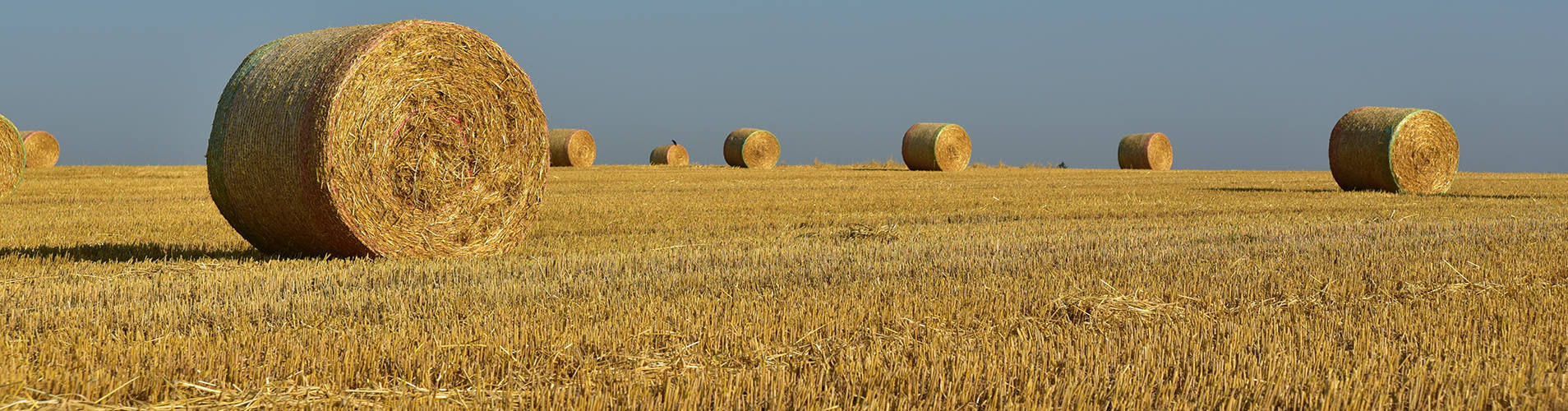 Соломенные пеллеты